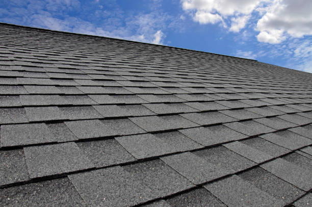 Best Sheet Metal Roofing  in Oconto Falls, WI